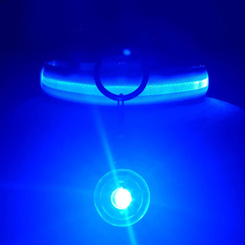 Glowing LED Light Dog Collar