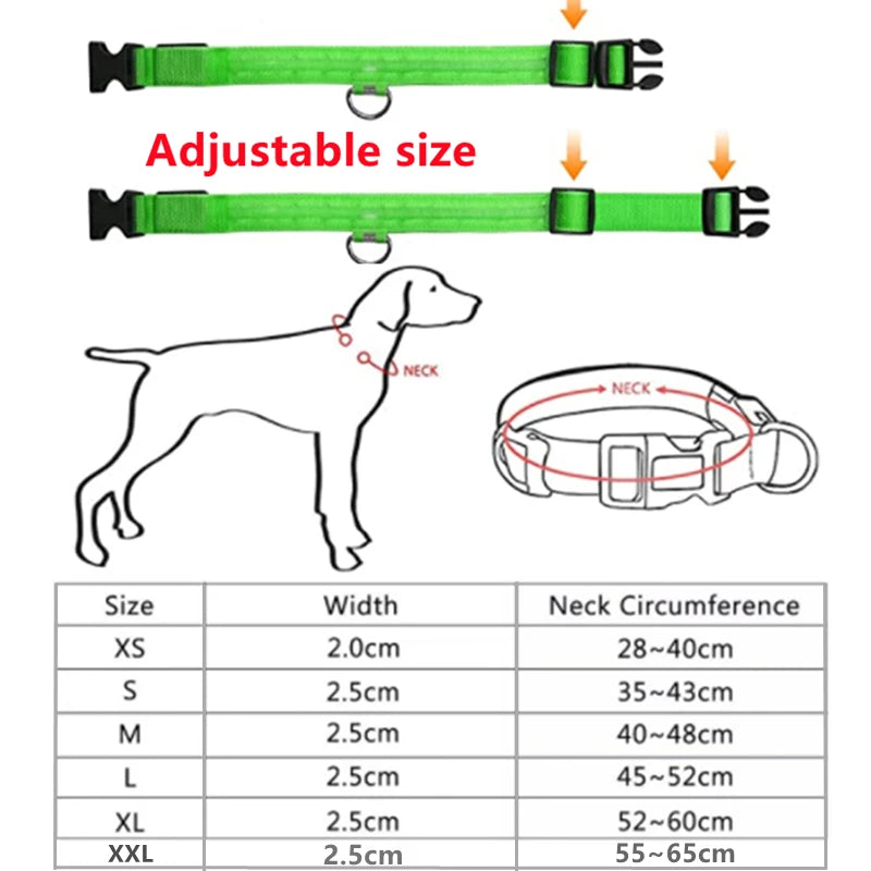 Glowing LED Light Dog Collar