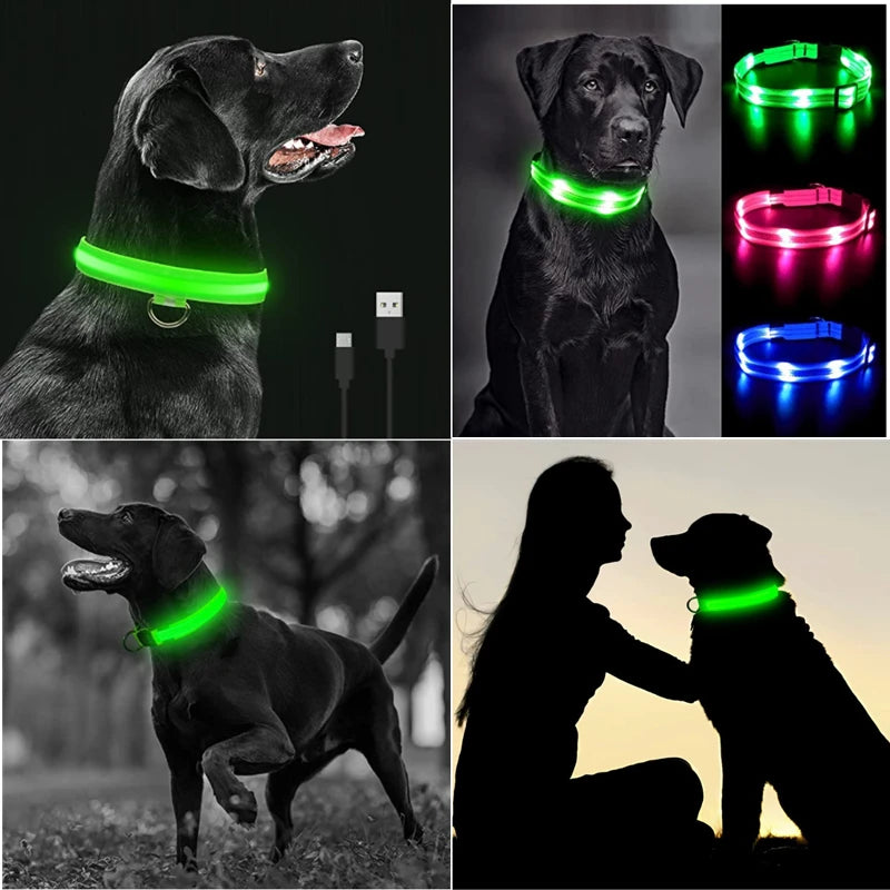 Glowing LED Light Dog Collar