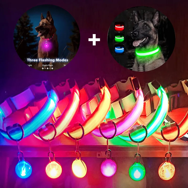Glowing LED Light Dog Collar