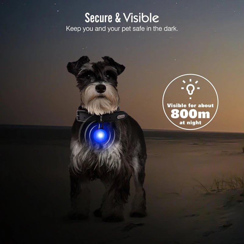 Glowing LED Light Dog Collar