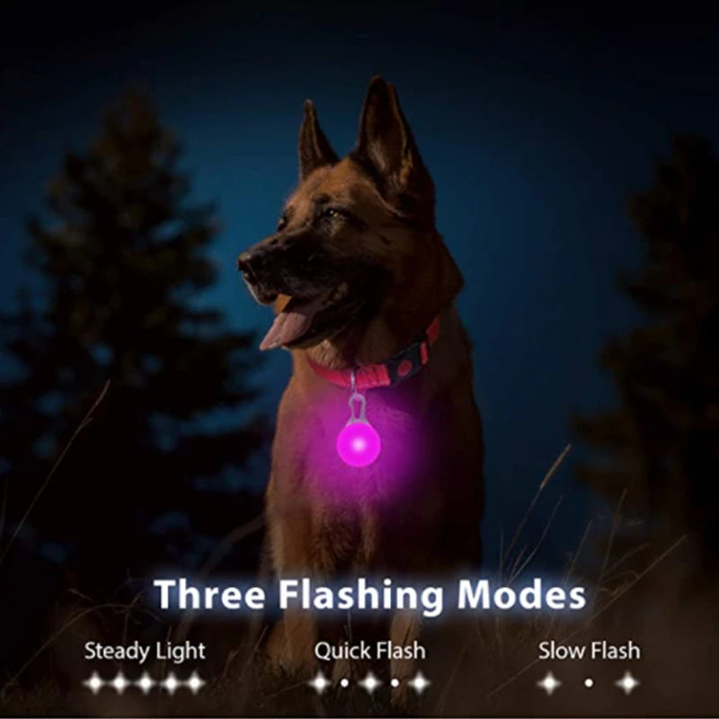 Glowing LED Light Dog Collar