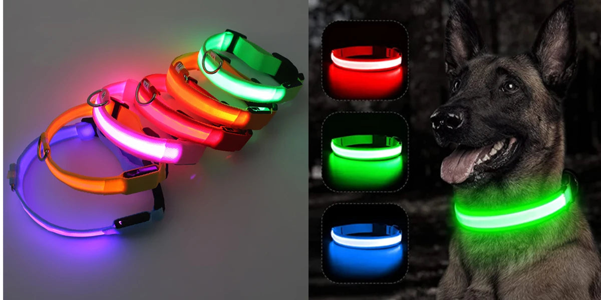 Glowing LED Light Dog Collar