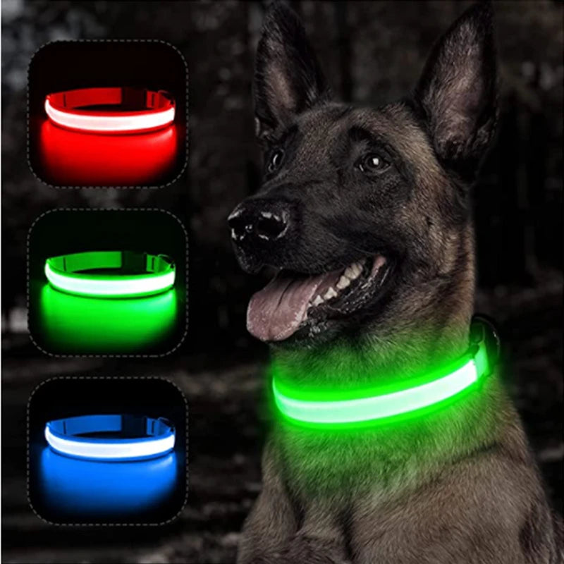 Glowing LED Light Dog Collar