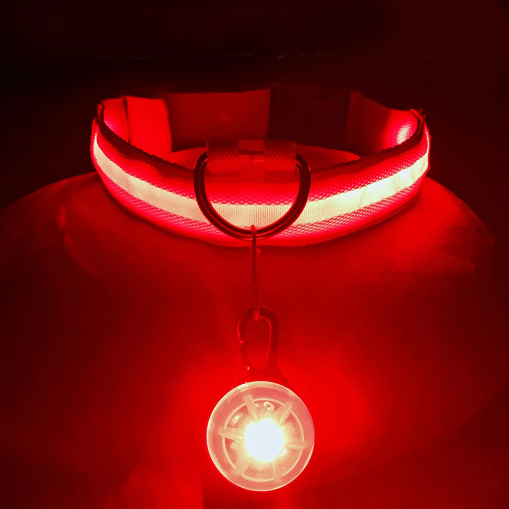 Glowing LED Light Dog Collar