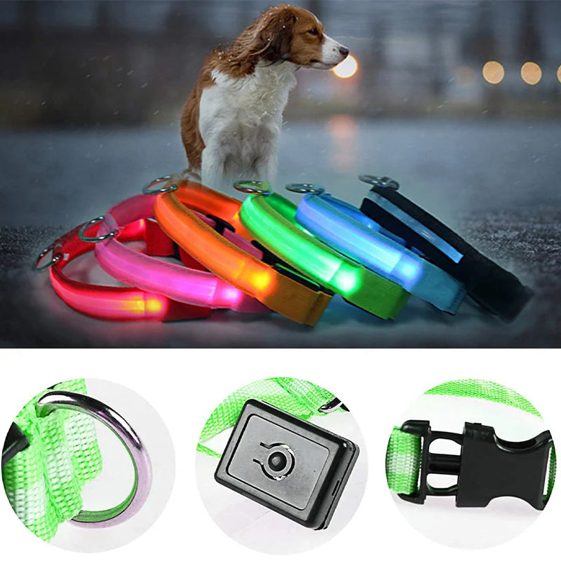 Glowing LED Light Dog Collar