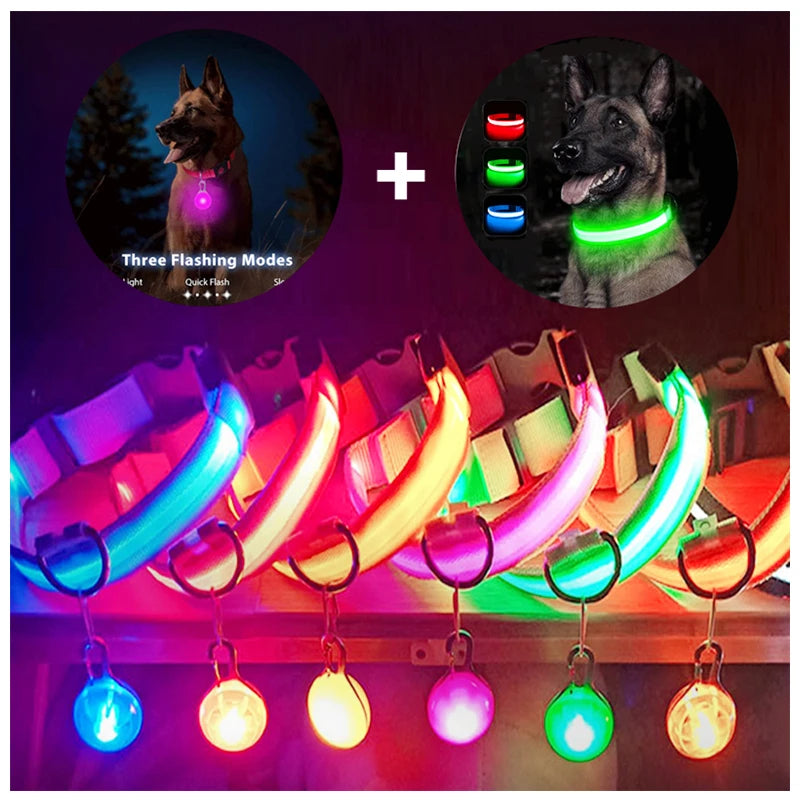 Glowing LED Light Dog Collar
