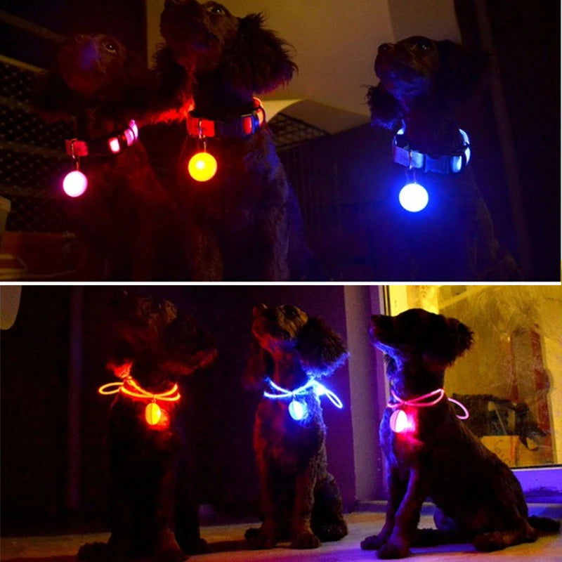 Glowing LED Light Dog Collar