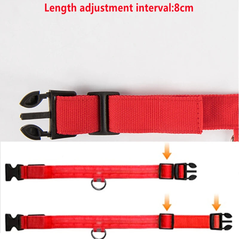 Glowing LED Light Dog Collar