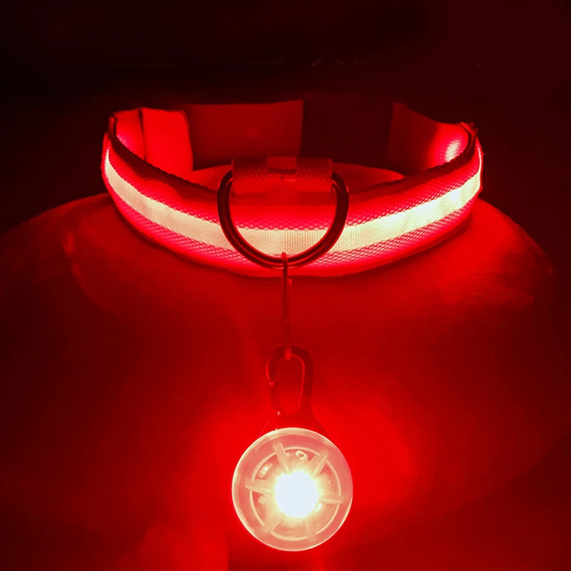Glowing LED Light Dog Collar