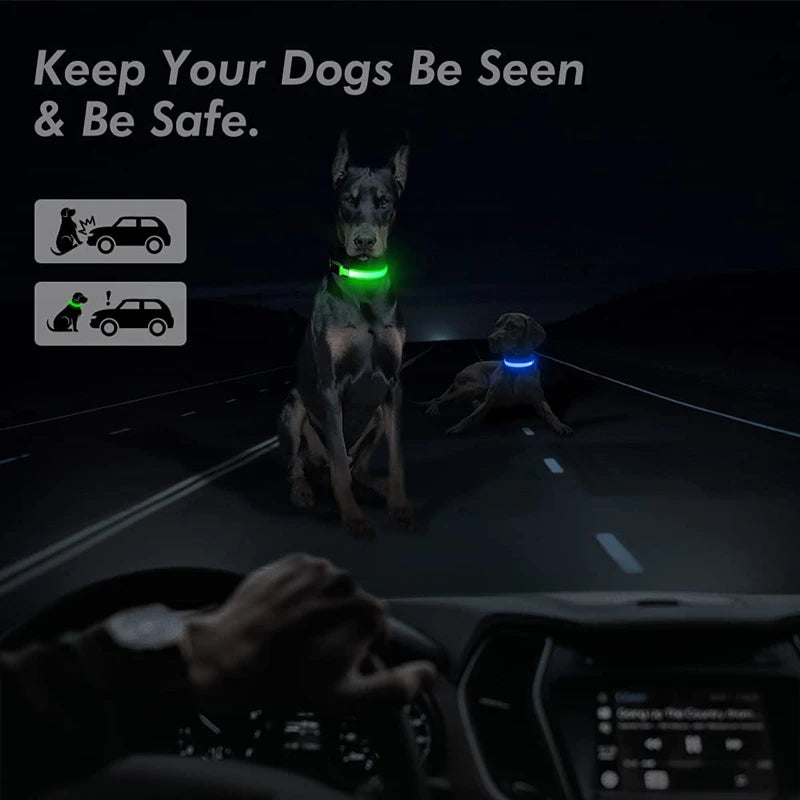 Glowing LED Light Dog Collar