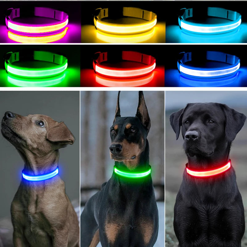 Glowing LED Light Dog Collar