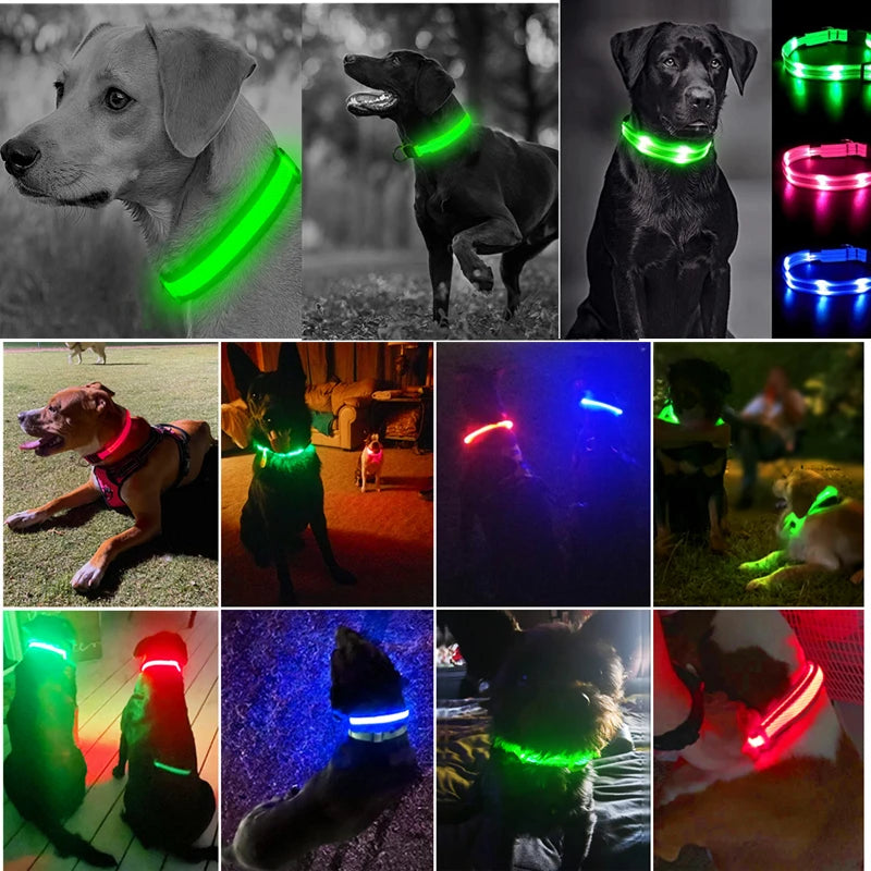 Glowing LED Light Dog Collar